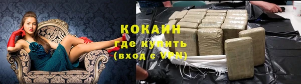 стафф Аркадак