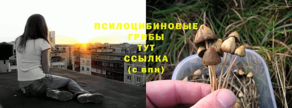 прущий лед Арсеньев
