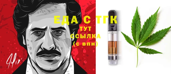 амф Грязовец