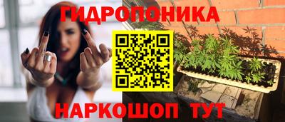 молекула духа Краснознаменск