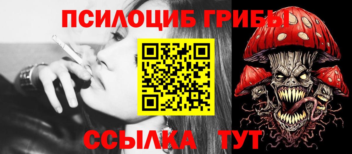 Псилоцибиновые грибы мухоморы  Вход с VPN  Кинель  где купить наркоту  Псилоцибиновые грибы Psilocybine cubensis 